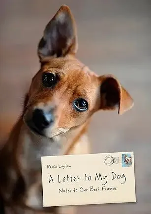 Earrings Chronicle Books A Letter to my Dog